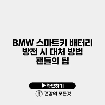 BMW 스마트키 배터리 방전 시 대처 방법 팬들의 팁