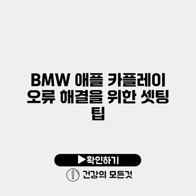 BMW 애플 카플레이 오류 해결을 위한 셋팅 팁