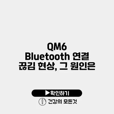QM6 Bluetooth 연결 끊김 현상, 그 원인은?