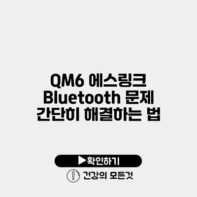 QM6 에스링크 Bluetooth 문제 간단히 해결하는 법