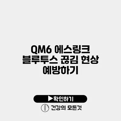 QM6 에스링크 블루투스 끊김 현상 예방하기