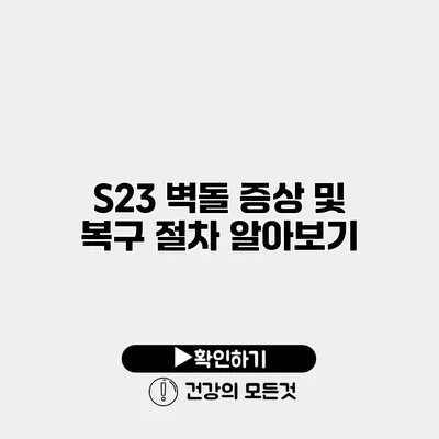 S23 벽돌 증상 및 복구 절차 알아보기