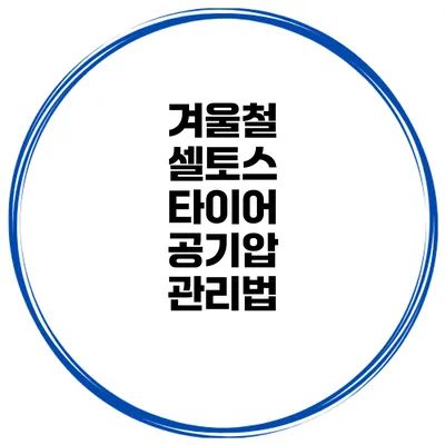 겨울철 셀토스 타이어 공기압 관리법