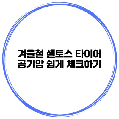 겨울철 셀토스 타이어 공기압 쉽게 체크하기