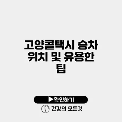 고양콜택시 승차 위치 및 유용한 팁