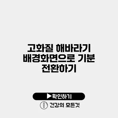 고화질 해바라기 배경화면으로 기분 전환하기
