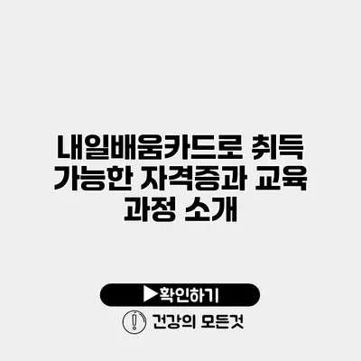 내일배움카드로 취득 가능한 자격증과 교육 과정 소개