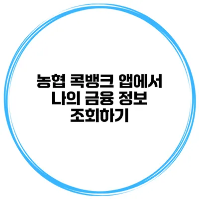 농협 콕뱅크 앱에서 나의 금융 정보 조회하기