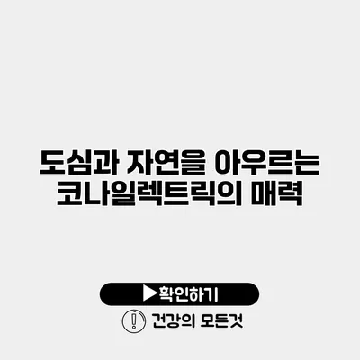 도심과 자연을 아우르는 코나일렉트릭의 매력
