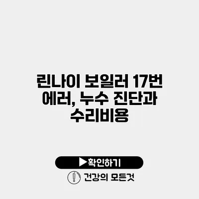 린나이 보일러 17번 에러, 누수 진단과 수리비용