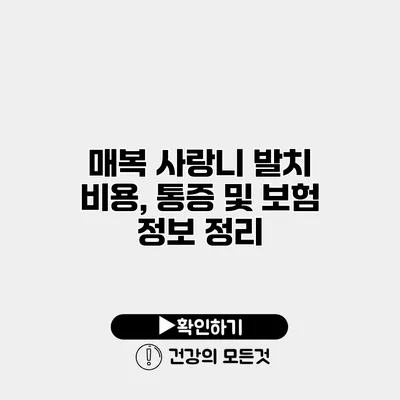 매복 사랑니 발치 비용, 통증 및 보험 정보 정리