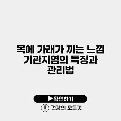 목에 가래가 끼는 느낌 기관지염의 특징과 관리법
