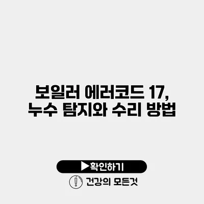 보일러 에러코드 17, 누수 탐지와 수리 방법