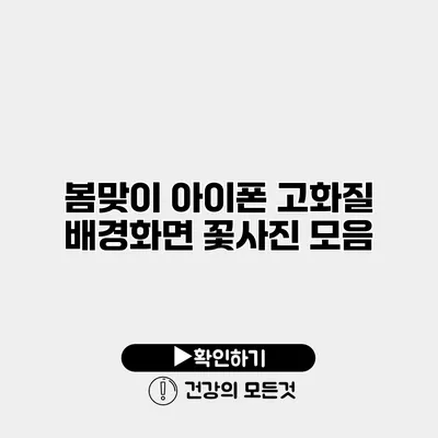봄맞이 아이폰 고화질 배경화면 꽃사진 모음