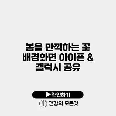 봄을 만끽하는 꽃 배경화면 아이폰 & 갤럭시 공유