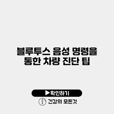 블루투스 음성 명령을 통한 차량 진단 팁