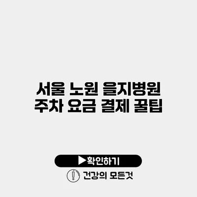 서울 노원 을지병원 주차 요금 결제 꿀팁