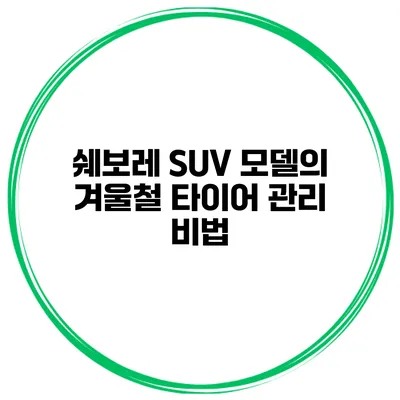 쉐보레 SUV 모델의 겨울철 타이어 관리 비법