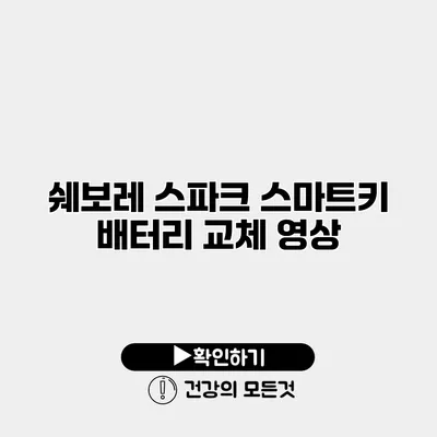 쉐보레 스파크 스마트키 배터리 교체 영상