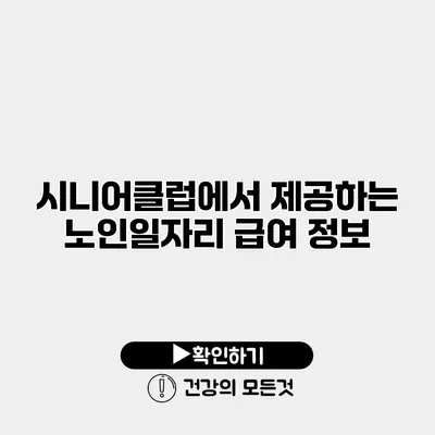 시니어클럽에서 제공하는 노인일자리 급여 정보