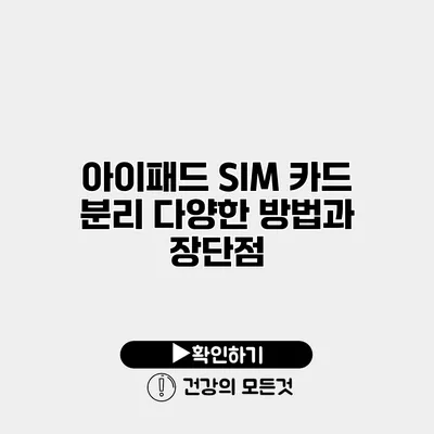 아이패드 SIM 카드 분리 다양한 방법과 장단점