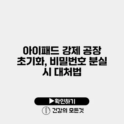 아이패드 강제 공장 초기화, 비밀번호 분실 시 대처법