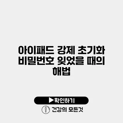아이패드 강제 초기화 비밀번호 잊었을 때의 해법