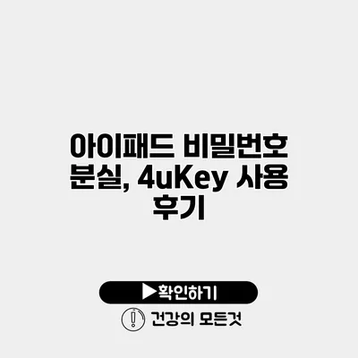 아이패드 비밀번호 분실, 4uKey 사용 후기