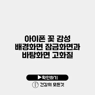 아이폰 꽃 감성 배경화면 잠금화면과 바탕화면 고화질