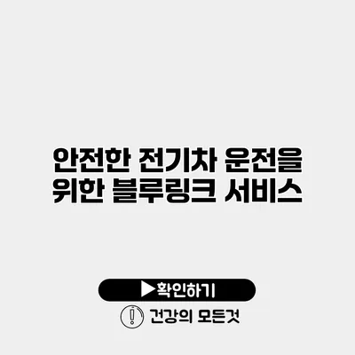 안전한 전기차 운전을 위한 블루링크 서비스