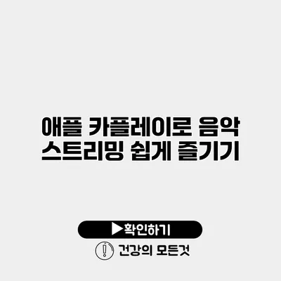 애플 카플레이로 음악 스트리밍 쉽게 즐기기