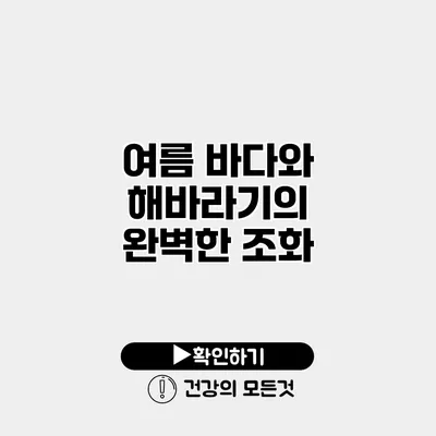 여름 바다와 해바라기의 완벽한 조화