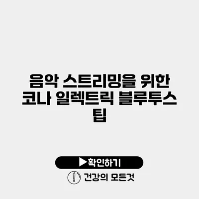 음악 스트리밍을 위한 코나 일렉트릭 블루투스 팁