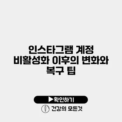 인스타그램 계정 비활성화 이후의 변화와 복구 팁
