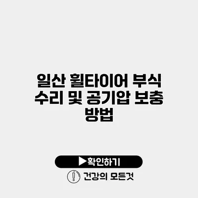 일산 휠타이어 부식 수리 및 공기압 보충 방법