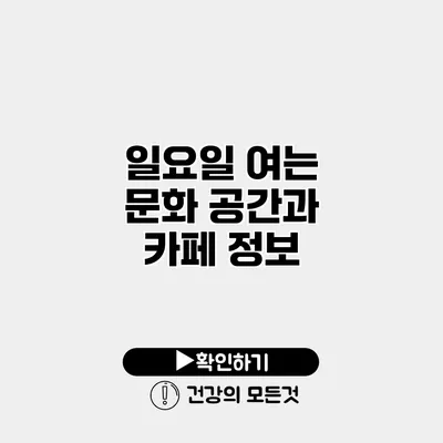 일요일 여는 문화 공간과 카페 정보