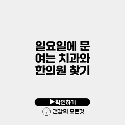 일요일에 문 여는 치과와 한의원 찾기