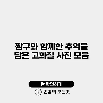 짱구와 함께한 추억을 담은 고화질 사진 모음