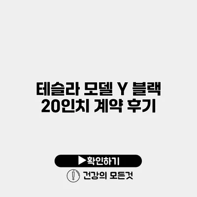 테슬라 모델 Y 블랙 20인치 계약 후기