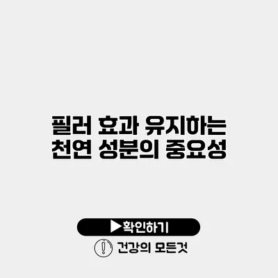 필러 효과 유지하는 천연 성분의 중요성