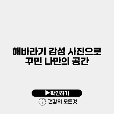 해바라기 감성 사진으로 꾸민 나만의 공간