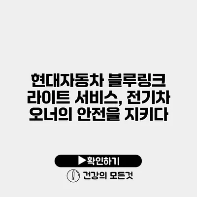 현대자동차 블루링크 라이트 서비스, 전기차 오너의 안전을 지키다